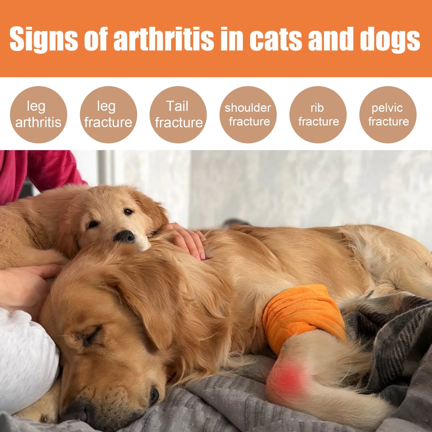 Cats /Dogs Relieve Leg Joint And Hip Pain Care