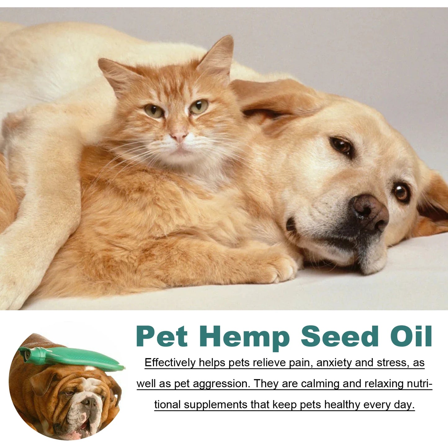 Hemp Seed Oil for Cats and Dogs