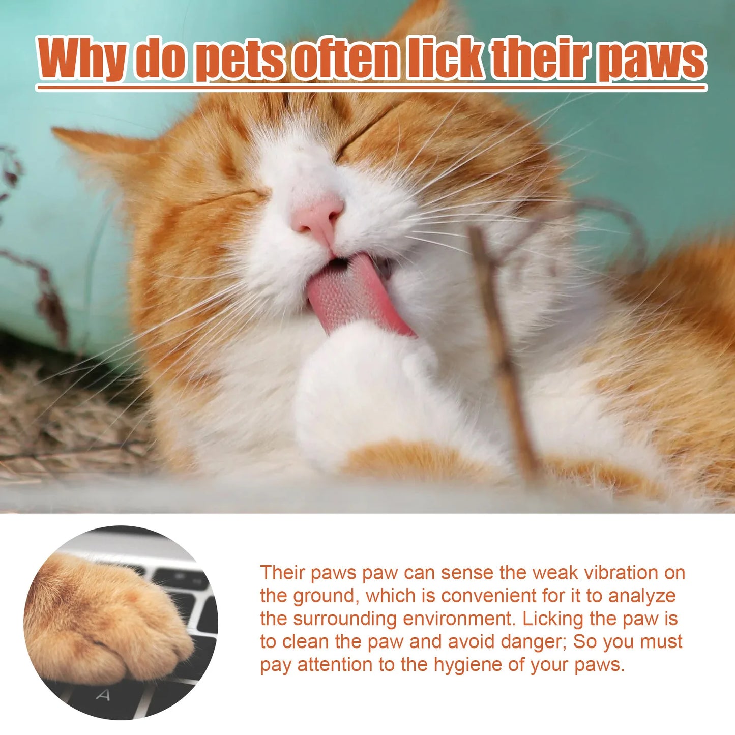 30ml Cat and Dog Foot Cream