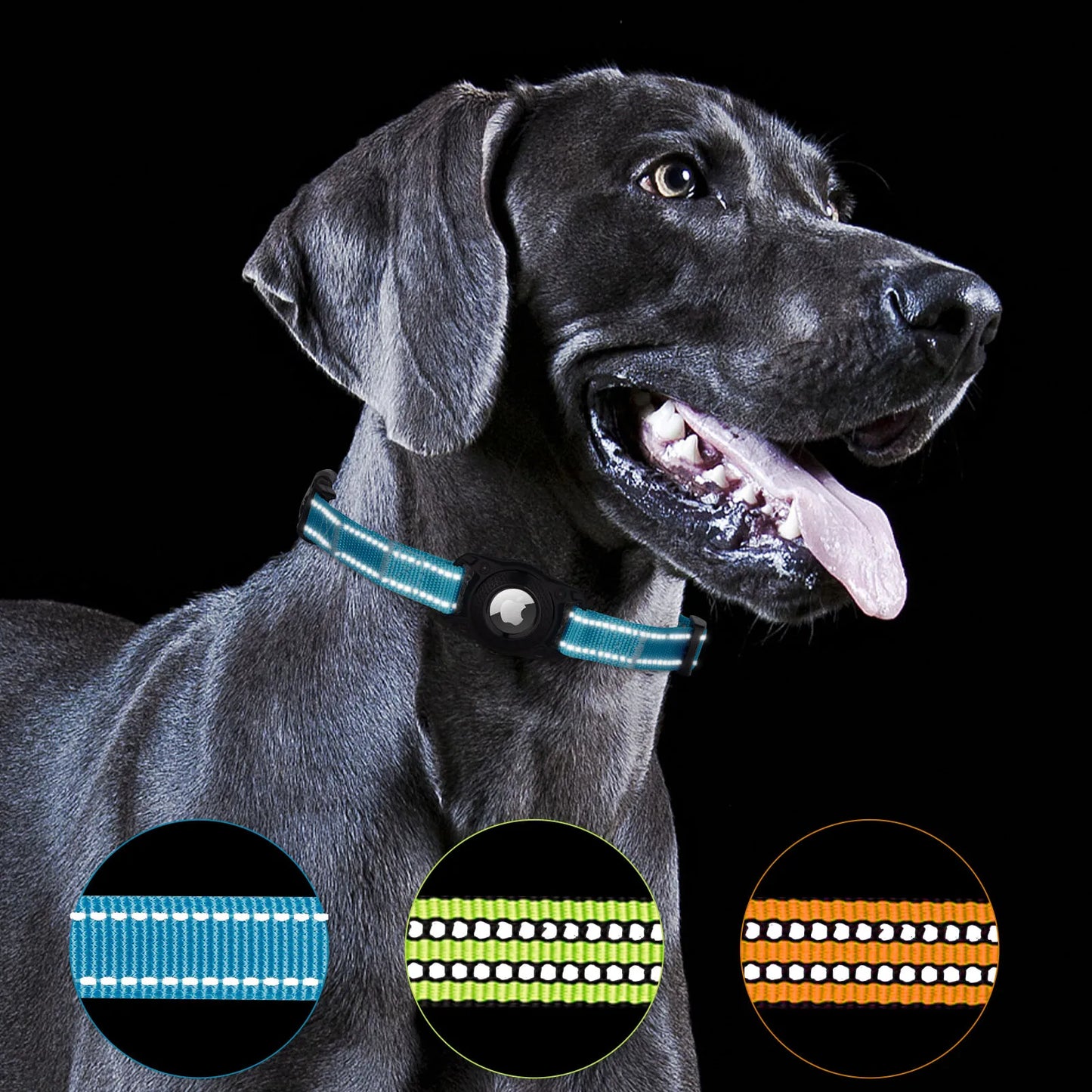 Dog Pet GPS Adjustable Accessories Collar