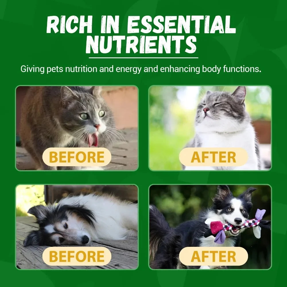 Nutrition Supplement enhances energy and vitality for cats and dogs