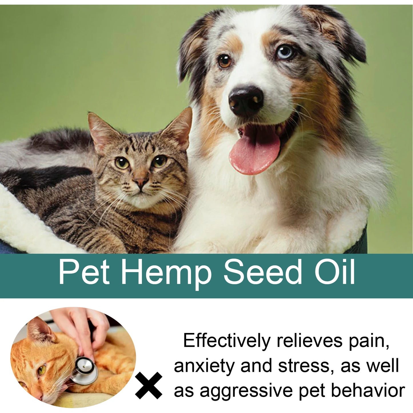 Hemp Seed Oil for Cats and Dogs